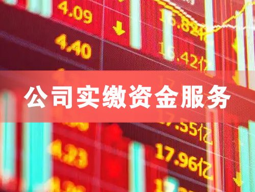 南宫公司实缴资金服务