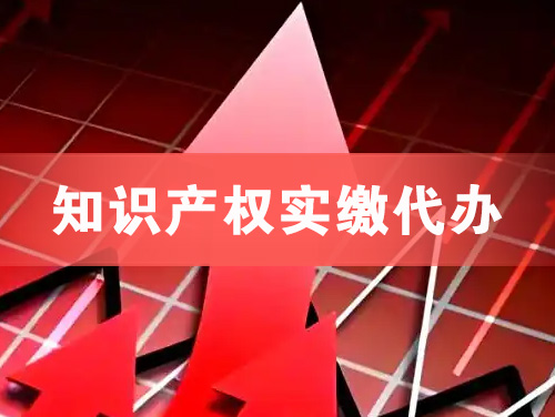 南宫知识产权实缴资本代办